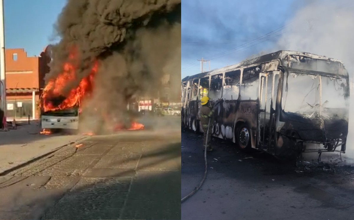 Se incendia camión urbano en la avenida Chapultepec. | Especial