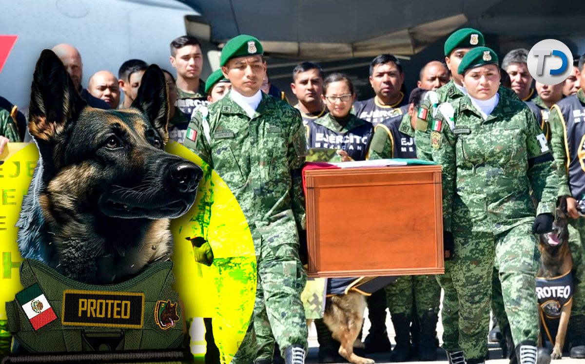 Sedena realiza homenaje para despedir a 'Proteo', el  perro rescatista que murió en Turquía/ Sedena