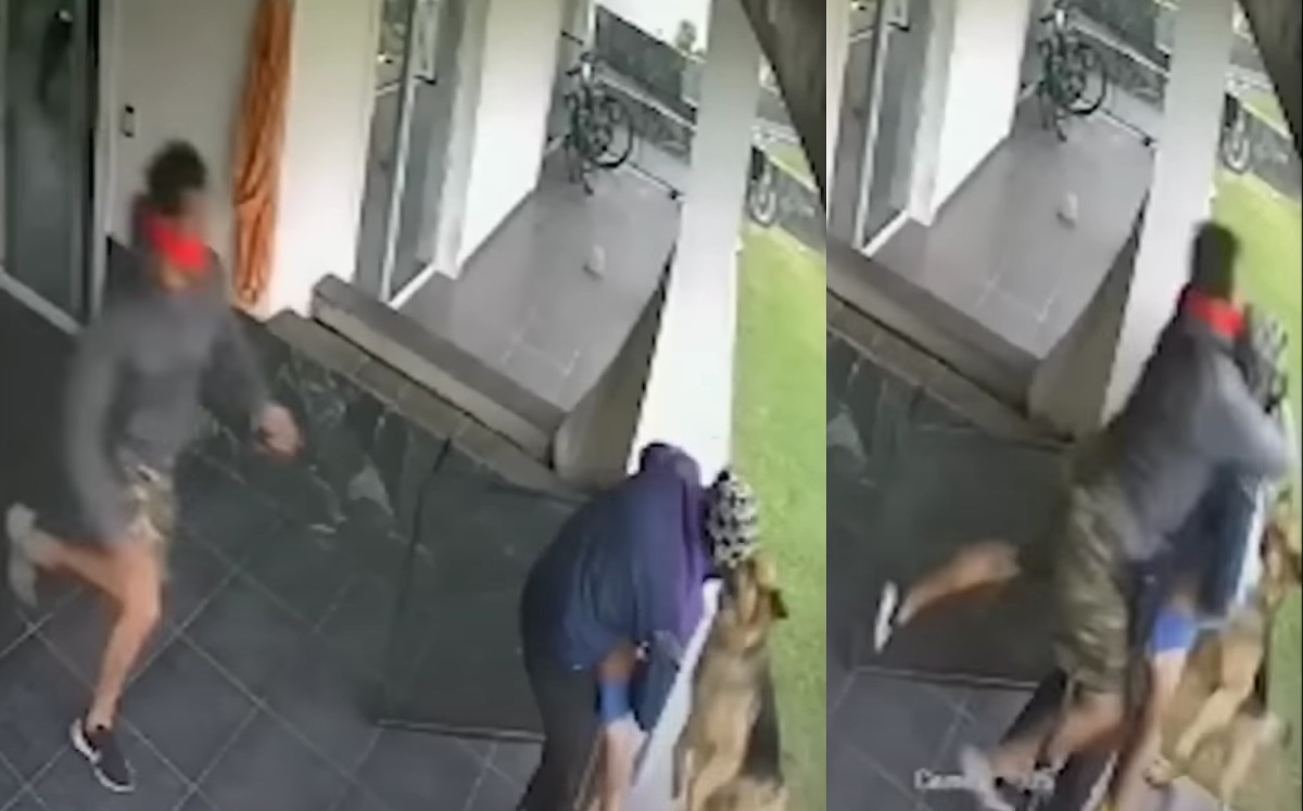 Padre tacléa a ladrón que intentaba robar a su hijo/ Especial