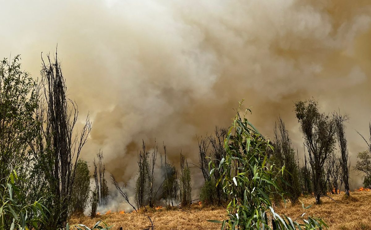 Incendio en Xochimilco