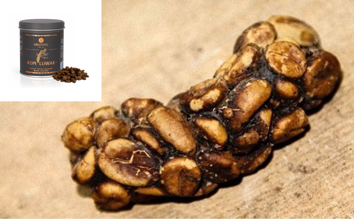 Noticias De Filipinas En Telediario Telediario M xico