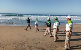 personas caminan por una playa