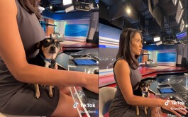 El perrito se portó muy bien durante el noticiero