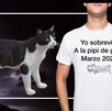 Memes por olor a gas en Monterrey.
