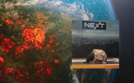 meteoróloga se desmaya, meteoróloga, Los Ángeles, Alissa Carlson Schwartz