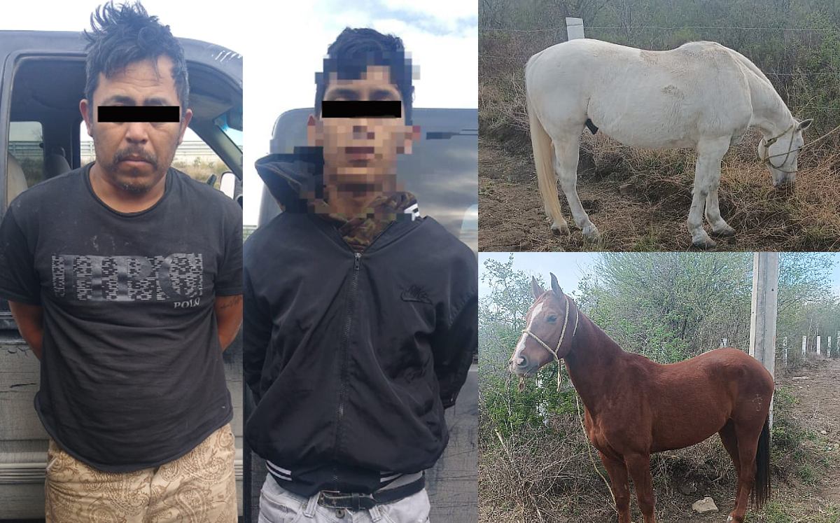 Detienen a ladrones de caballos en Cadereyta | Especial
