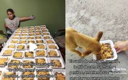 Menor da de comer a perritos de la calle