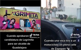 TikTok elpolitico_mx