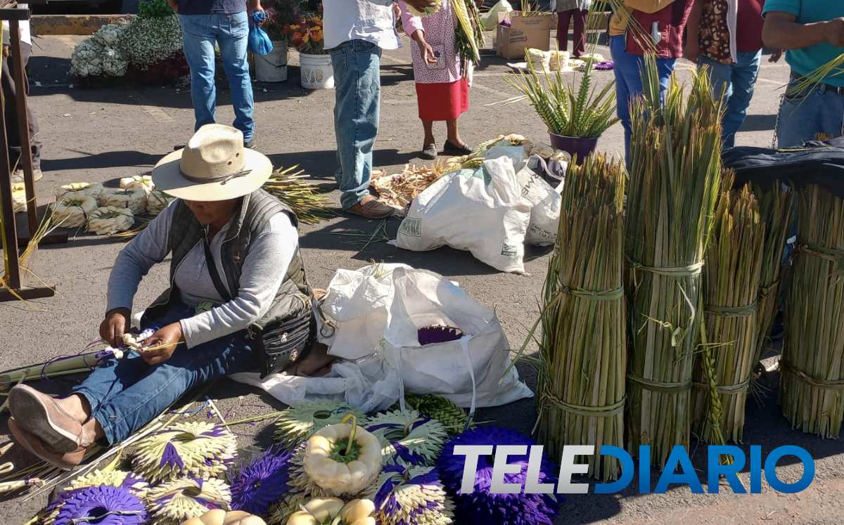 Domingo de Ramos / Abigail García