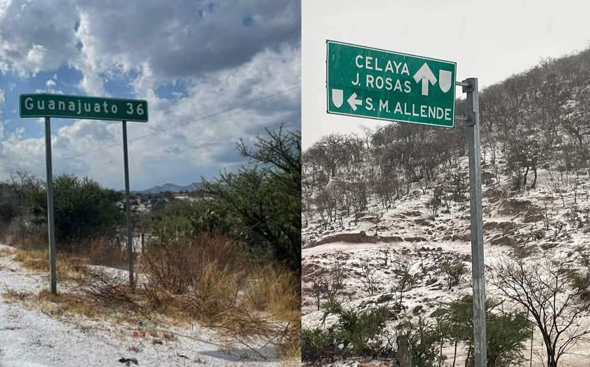 Sorprende granizada en Sierra de Santa Rosa en Guanajuato y pinta el paisaje de blanco | Cortesía