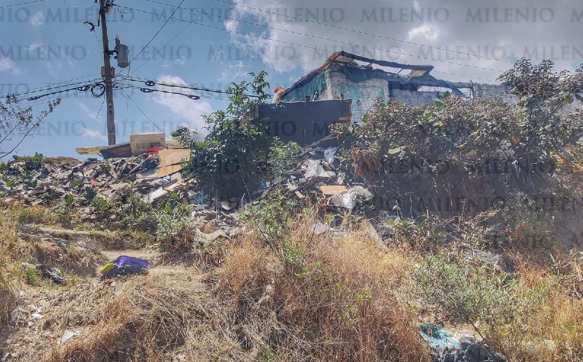 La Margarita / Jesús Zavala