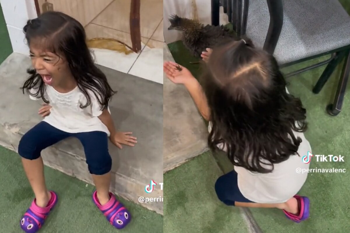 La niña se soltó a llorar cuando se comieron a su grillo | TikTok: @perrinavalenc