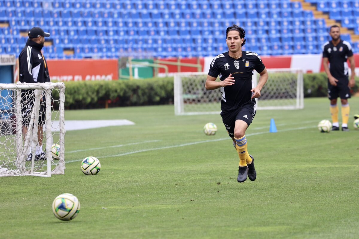 @TigresOficial. /