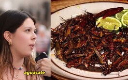 Una mexicana reveló que tiene miles de euros en su cuenta de banco por vender chapulines.