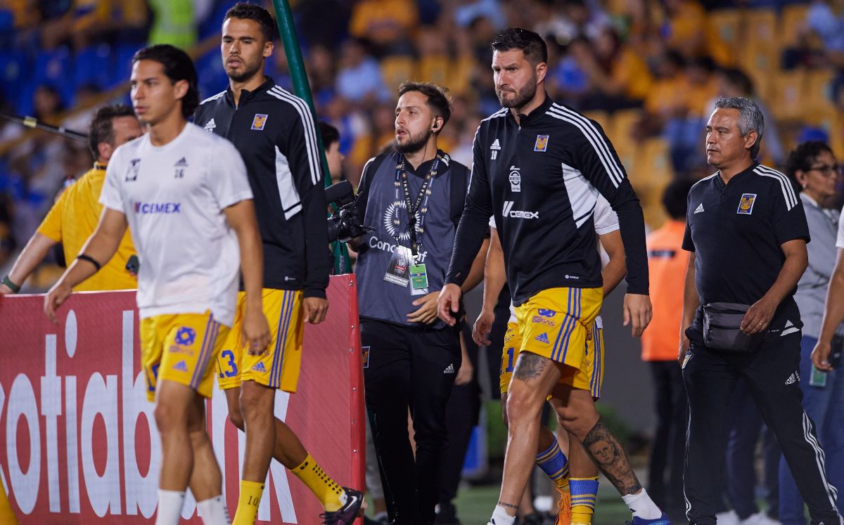 Tigres / Mexsport