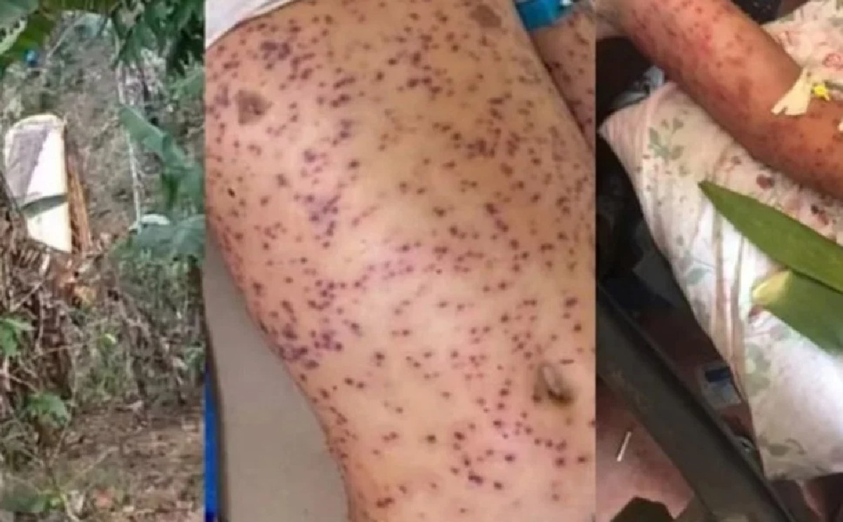 Camión cae sobre enjambre de abejas en Nicaragua │ El Clarín.