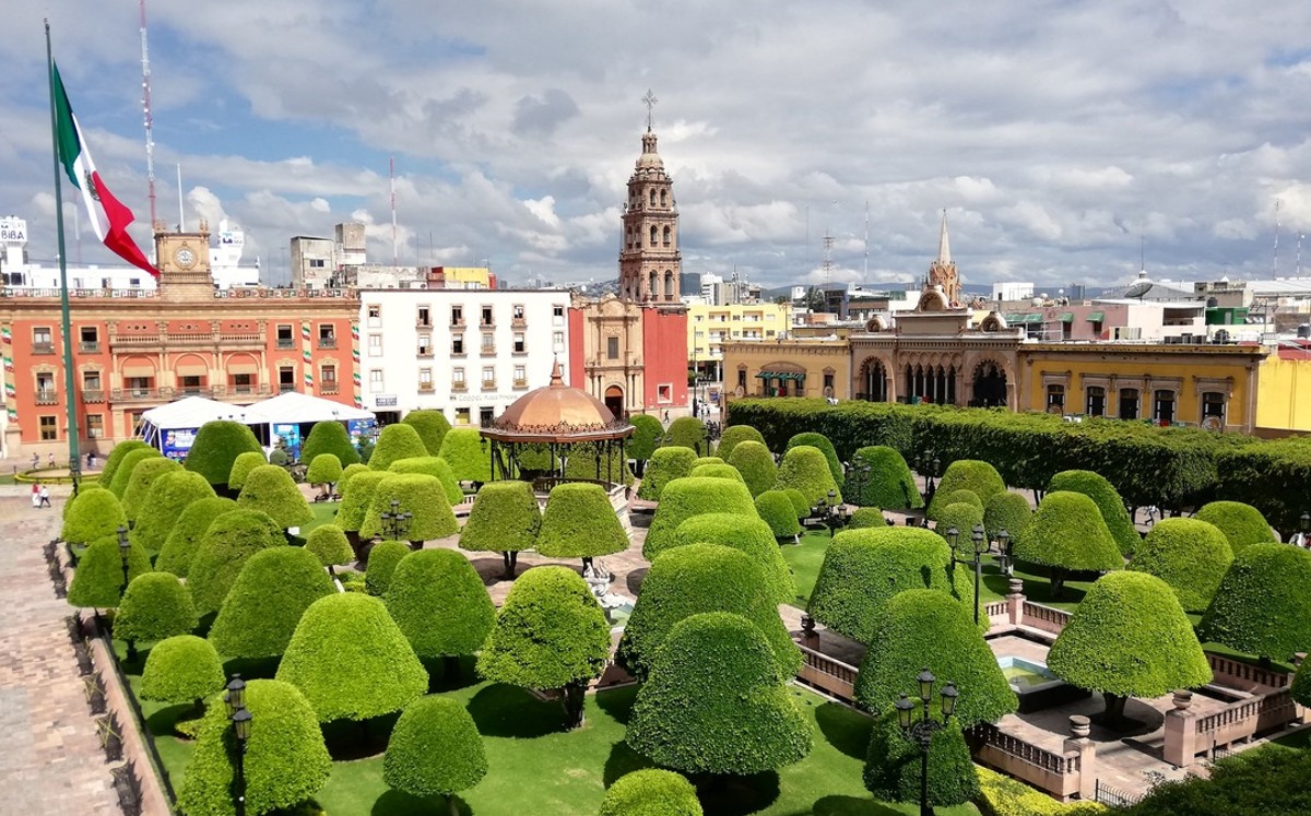 Árboles de León; la mitad de ellos presentan plagas / Cortesía