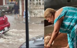 Abuelita aprovecha lluvia para bañar a su perrito y se viraliza