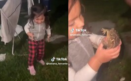 TikTok: niña besa a sapo a ver si se convertía en príncipe; esto pasó