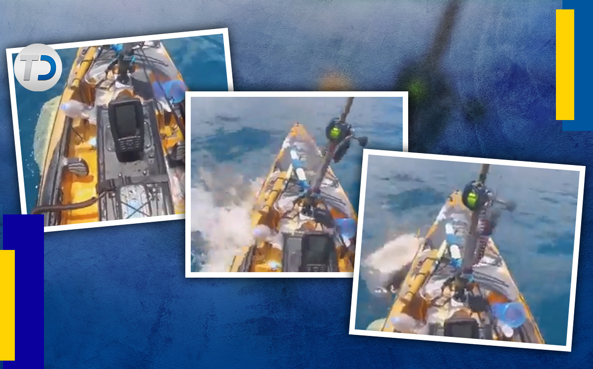El incidente ocurrió en la costa de Windward Oahu, Hawái. | Antonio Texta