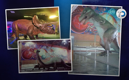 Museo de Historia Natural en Puebla