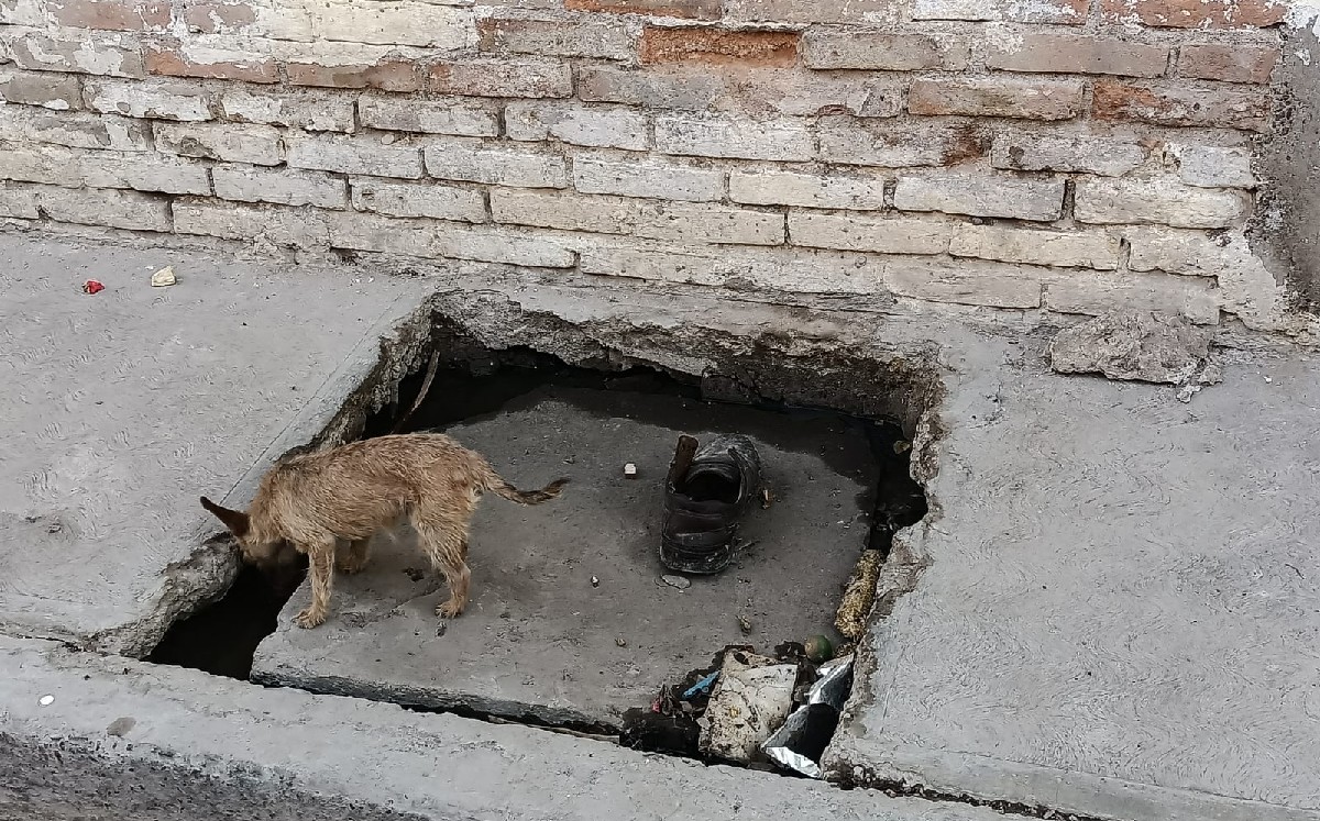 Denuncian deficiencias en servicio de agua y drenaje en Gómez Palacio