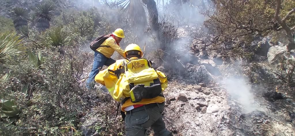 Incendio en El Pajonal, Santa Catarina. / Especial