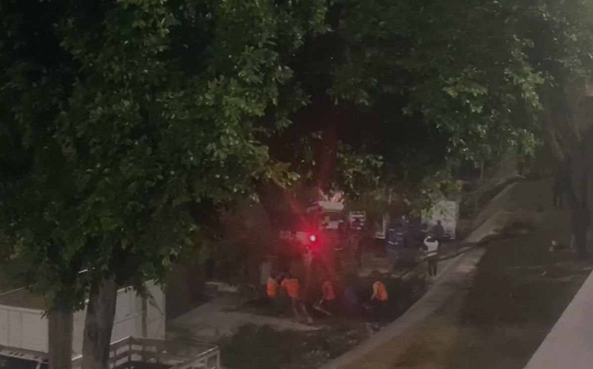 En León talan 63 árboles del Malecón del Río durante la madrugada
