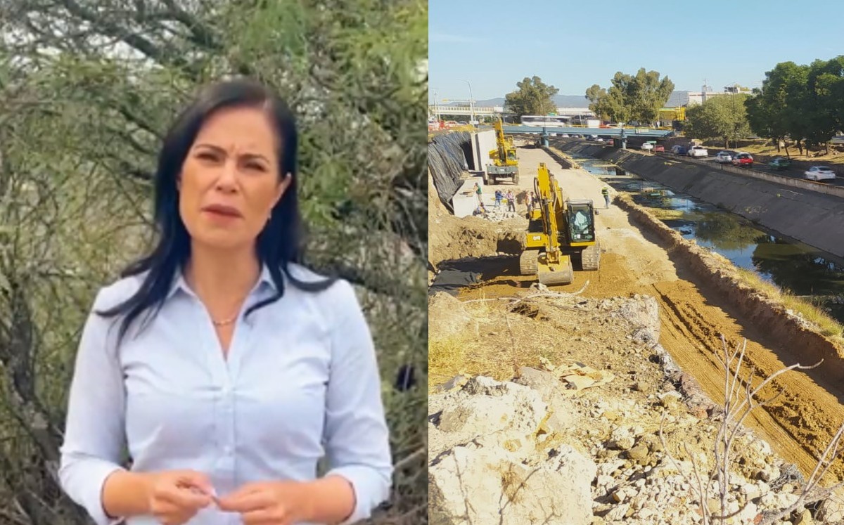 Plantarán 11 mil árboles en León tras talar 63 en Malecón del Río | Cortesía