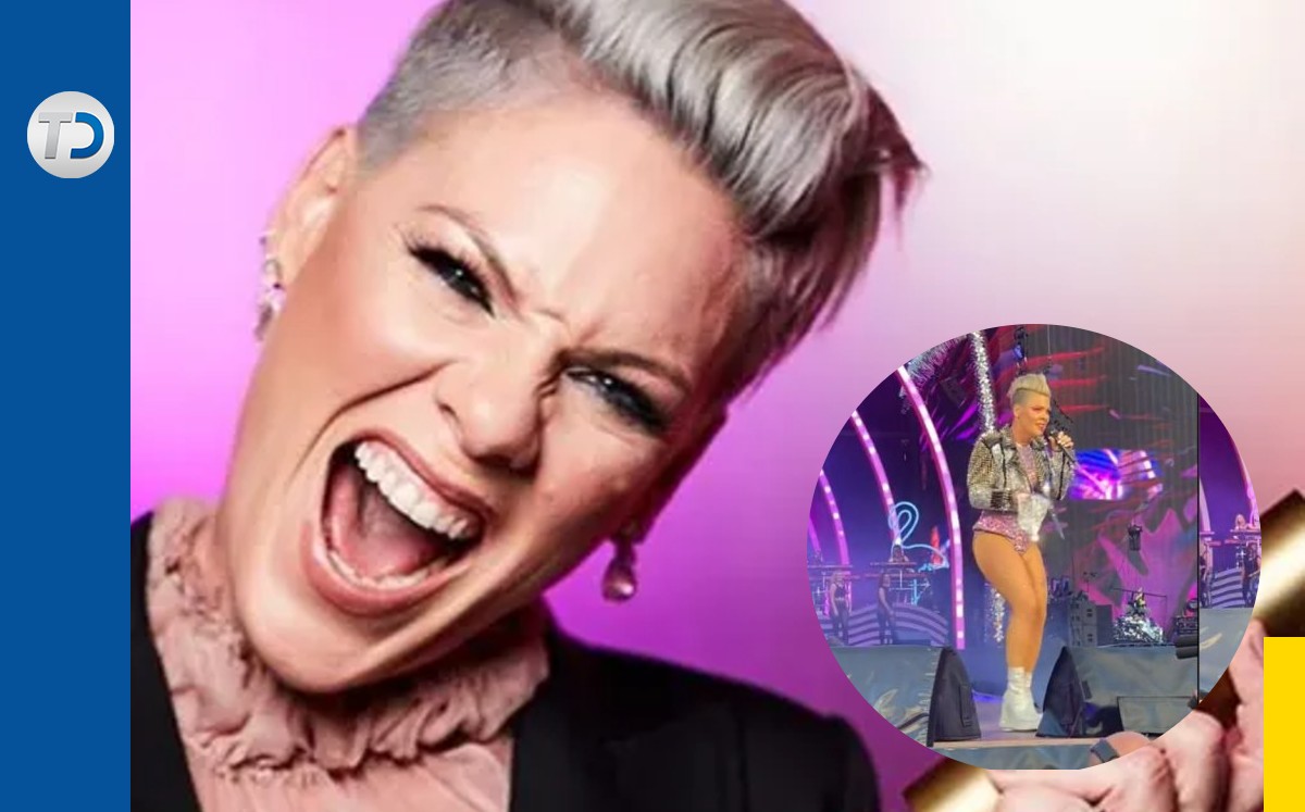Fan lanza las cenizas de su madre a la cantante Pink durante un concierto | Instagram