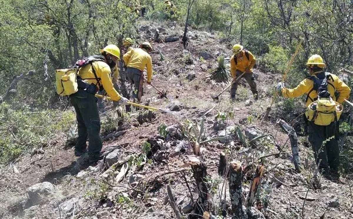 Incendio consume más de mil 350 hectáreas en El Pajonal en Santa Catarina. | Roberto Alanís