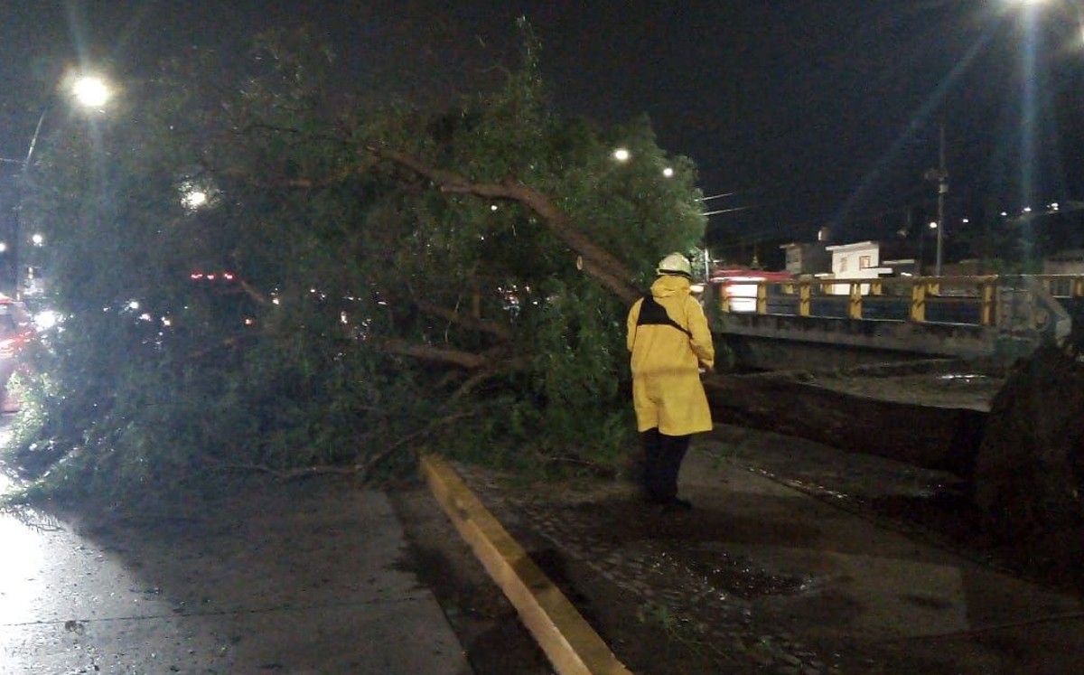 Fuertes lluvias en León
