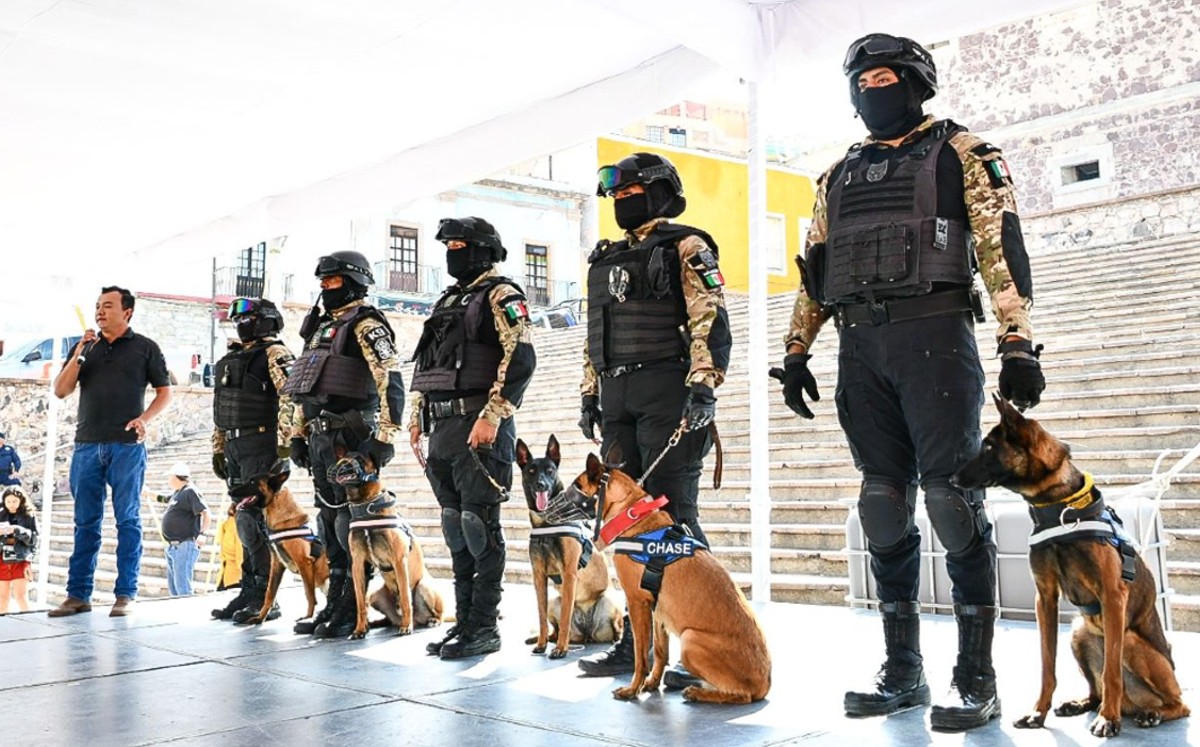 Perrita policía de Guanajuato capital es jubilada tras 6 años de servicio | Cortesía