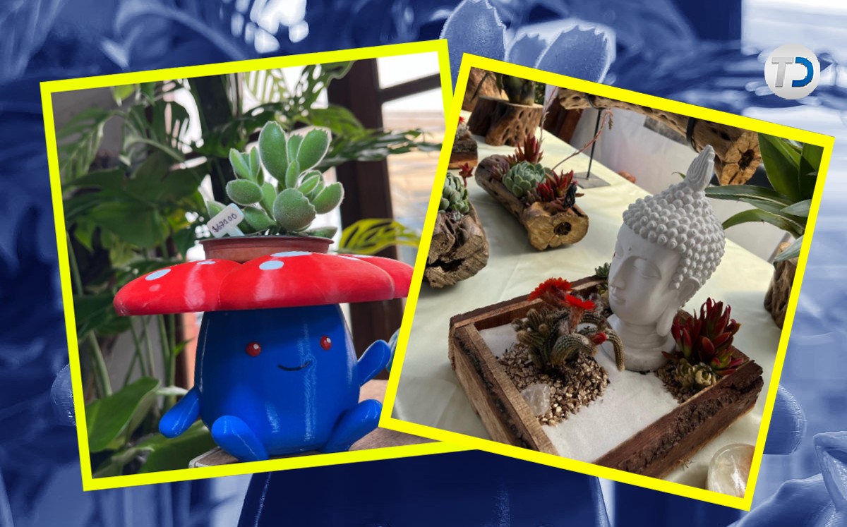 Plant Fest / Especial