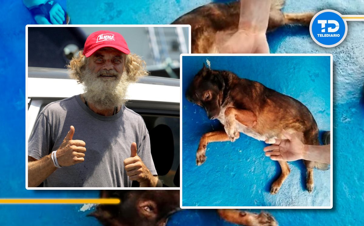 Bella, la perrita se queda en México/ Especial