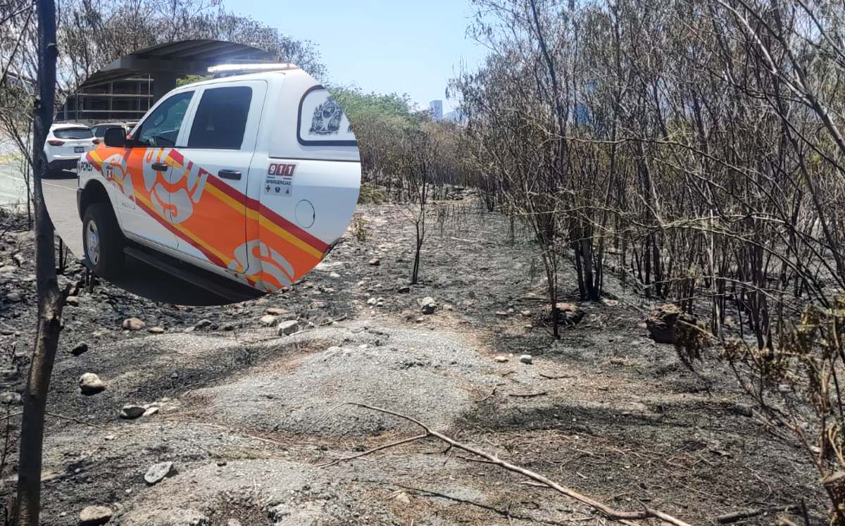 Incendio del río Santa Catarina afecto seis hectáreas