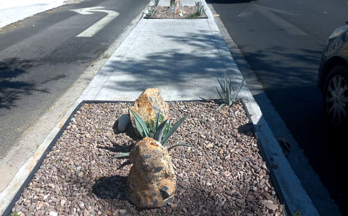 Construyen un camellón sin sembrar árboles en Monterrey