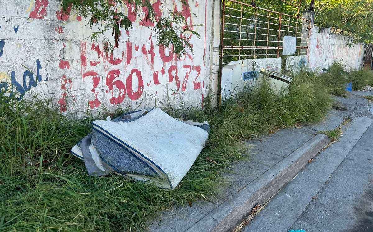 Denuncian terreno baldío en Guadalupe / Especial