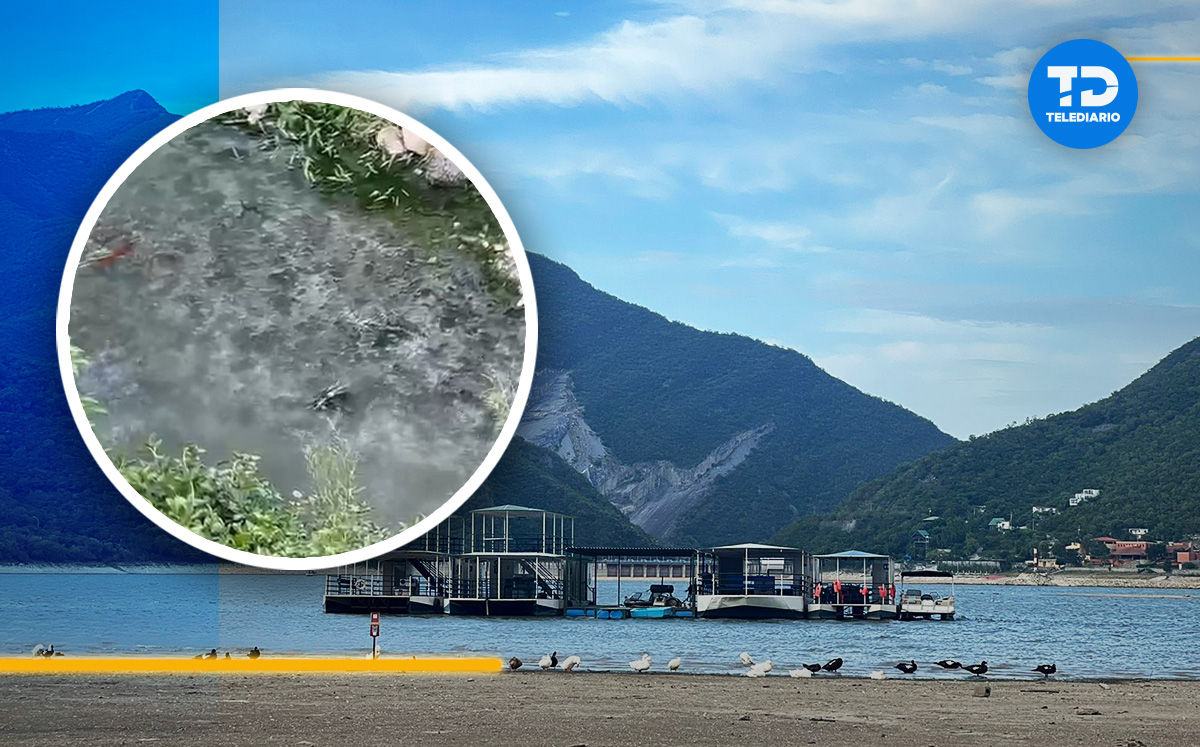 Captan aguas negras en Presa La Boca / Mayte Villasana