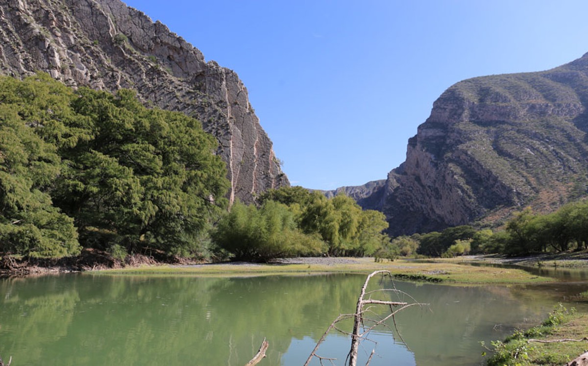 Cañón de Fernández sufre daños en su flora y fauna