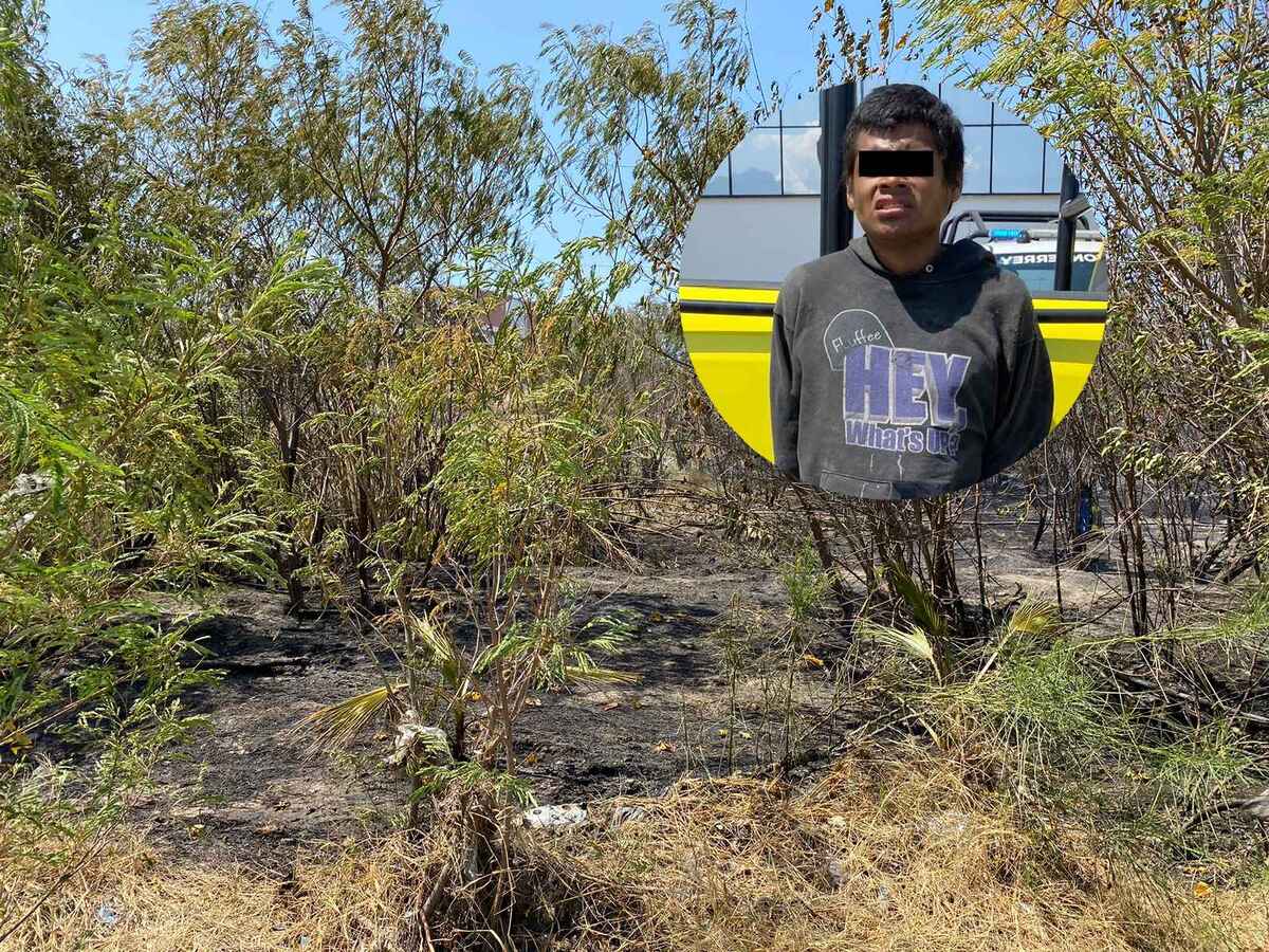 Presuntamente el desconocido provocó el incendio con un encendedor. / Especial