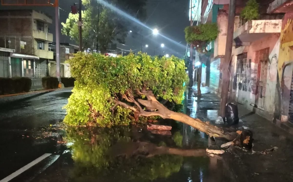 Fuerte lluvia azotó la ciudad de León durante la noche del martes | Cortesía Protección Civil