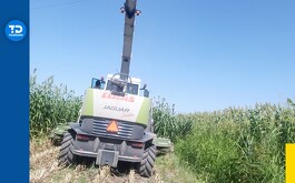 Un hombre murió a causa de una descarga eléctrica mientras trabajaba en el ejido Yucatán, en Francisco I. Madero, Coahuila.