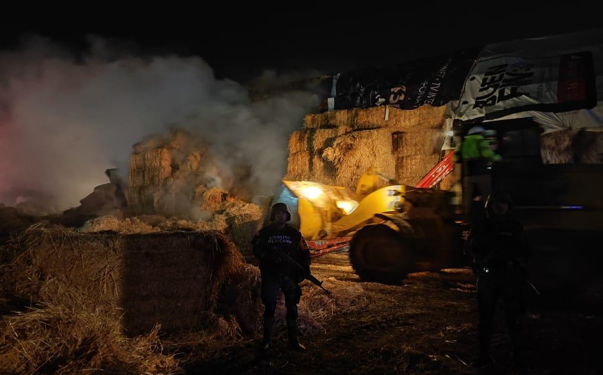 Se incendia fábrica de champiñones por caída de rayo