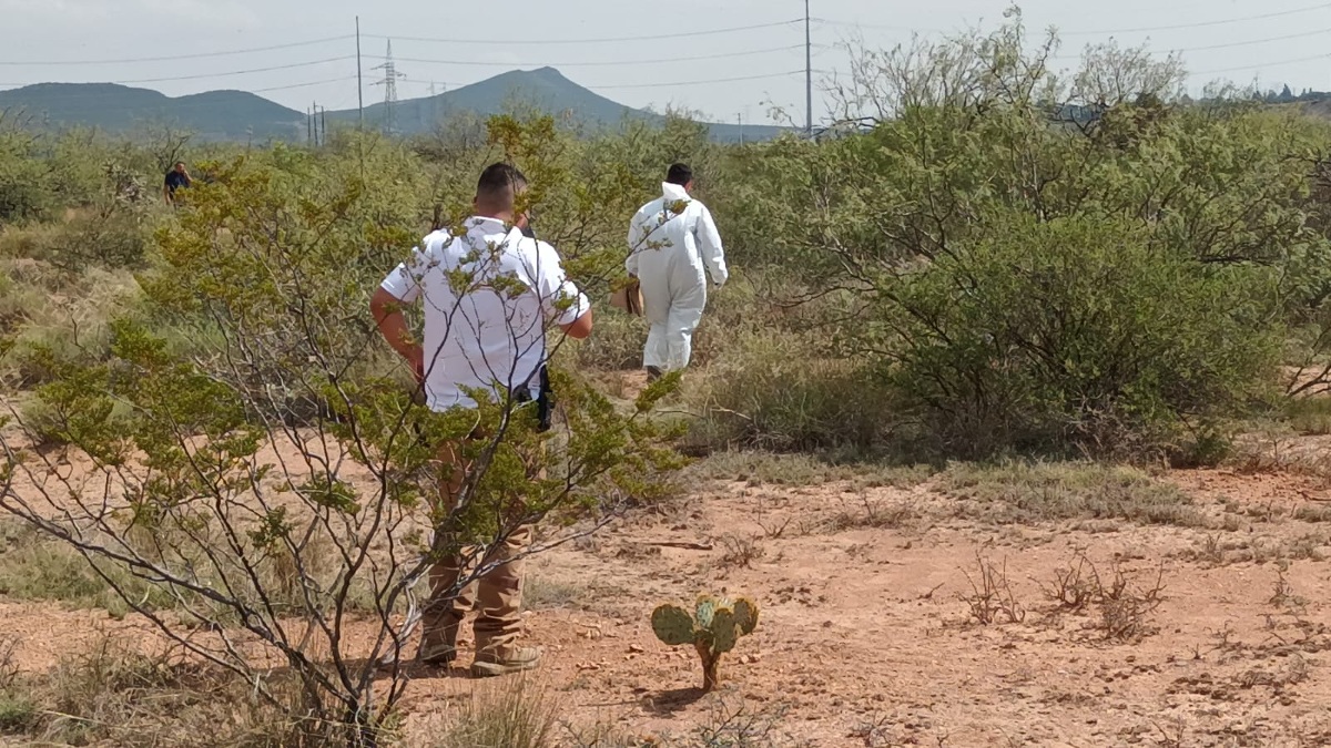 Hallan hombre sin vida en terreno frente a zona industrial de Derramadero. | Daniel Santiago