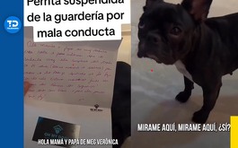 Perrita es suspendida de escuela canina y la reacción de sus dueños se vuelve viral | TikTok
