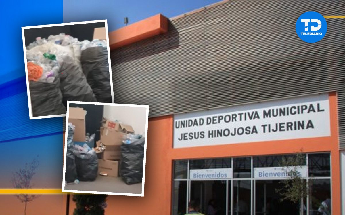 Presencia de ratas en gimnasio en el Centro de Monterrey | Diseño Telediario