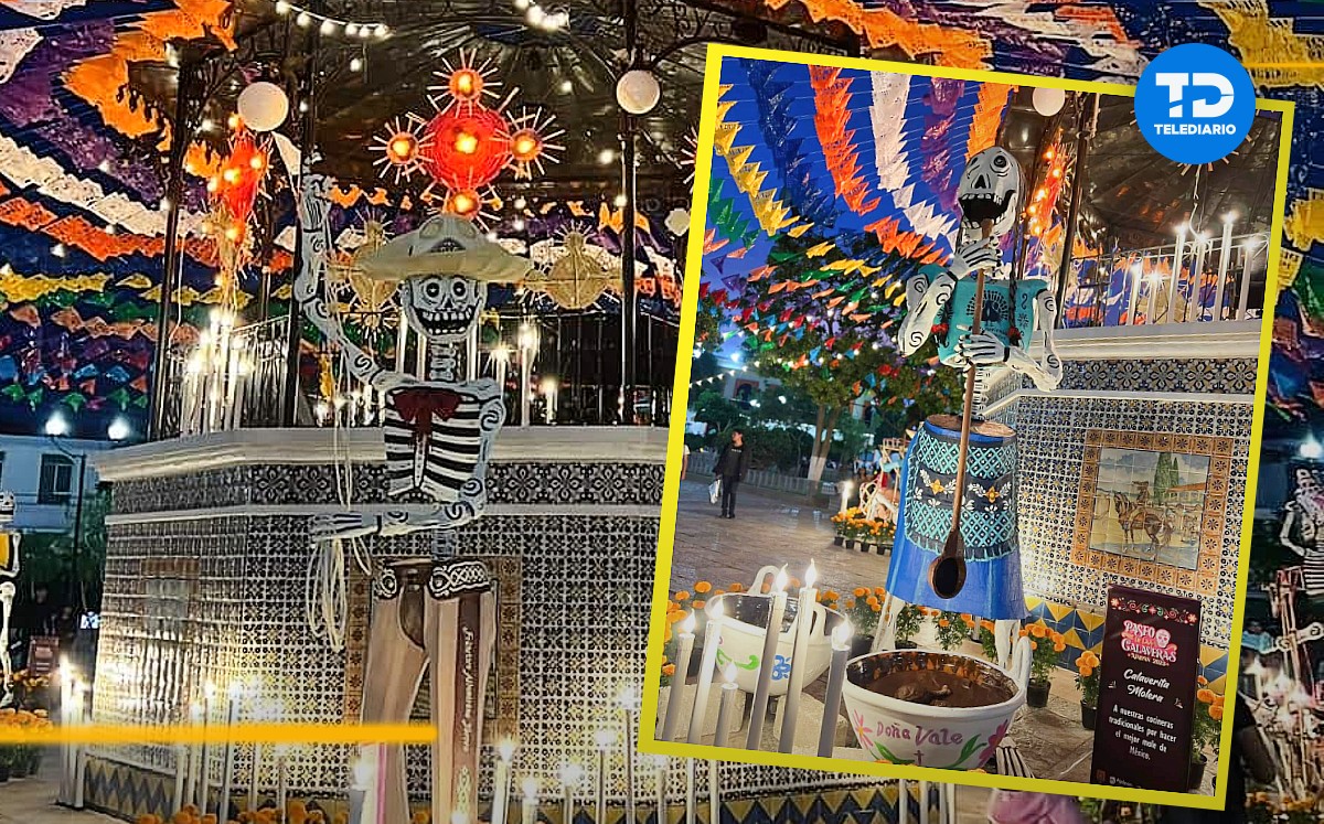 Paseo de las calaveras en Ajalpan / Apolonia Amayo