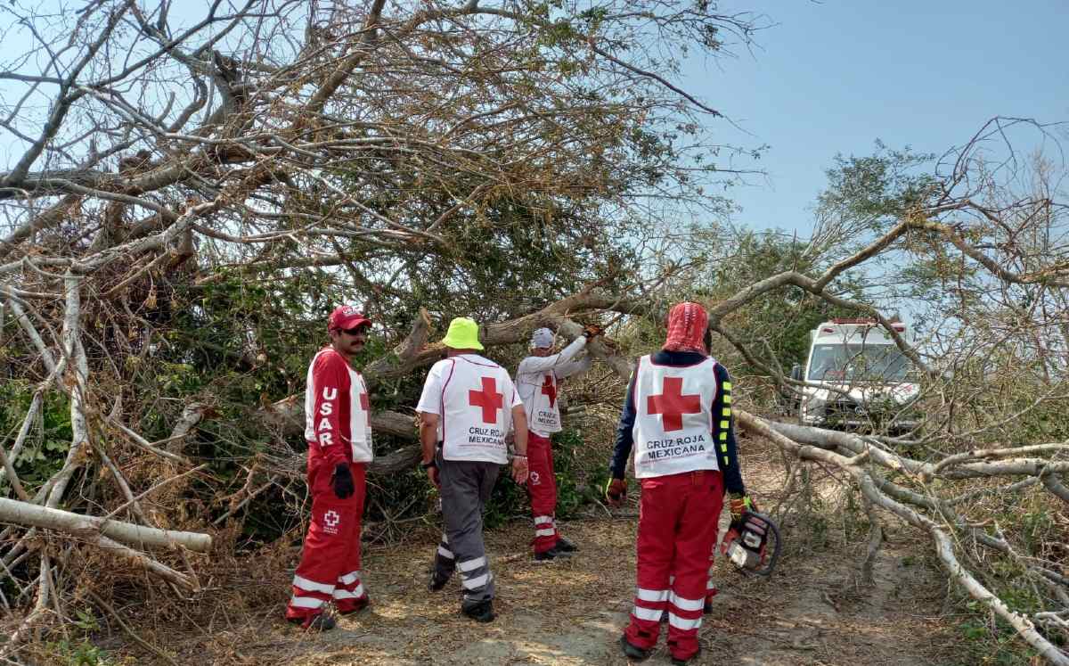 Voluntarios de la Cruz Roja en Jalisco | Usi Toledo