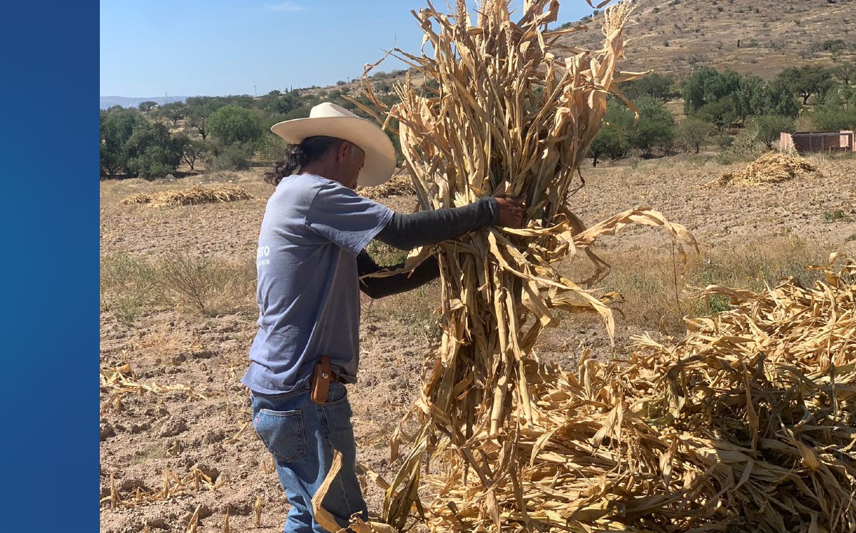 Campesino Luz Pérez de 'La Laborcita' | Karlos Márquez